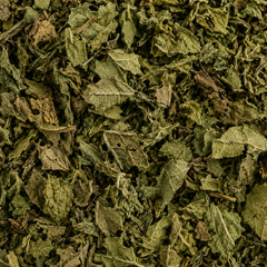 Lemon Balm